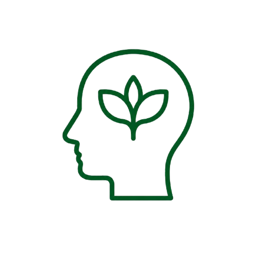HOLISTIC DEVELOPMENT